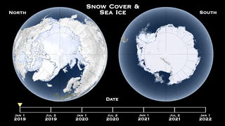 Sea ice cover is a key indicator of the Earth's polar climate system.

See also these vital signs from climate.nasa.gov:

Arctic Sea Ice Extent and Ice Sheets