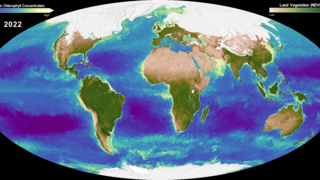 This newly updated data visualization of the Earth's Biosphere was unveiled at the 2022 United Nations Climate Change Conference (COP 27). 

By monitoring the color of reflected light via satellite, scientists can determine how successfully plant life is photosynthesizing. A measurement of photosynthesis is essentially a measurement of successful growth, and growth means successful use of ambient carbon. This data visualization represents five years' worth of data taken primarily by Suomi NPP/VIIRS satellite sensors, showing the abundance of life both on land and in the sea. In the ocean, dark blue represents warmer areas where there is little life due to lack of nutrients, where yellow and orange represent cooler nutrient-rich areas. The nutrient-rich areas include coastal regions where cold water rises from the sea floor bringing nutrients along and areas at the mouths of rivers where the rivers have brought nutrients into the ocean from the land. On land, green represents areas of abundant plant life, such as forests and grasslands, while tan and white represent areas where plant life is sparse or non-existent, such as the deserts in Africa and the Middle East and snow-cover and ice at the poles.