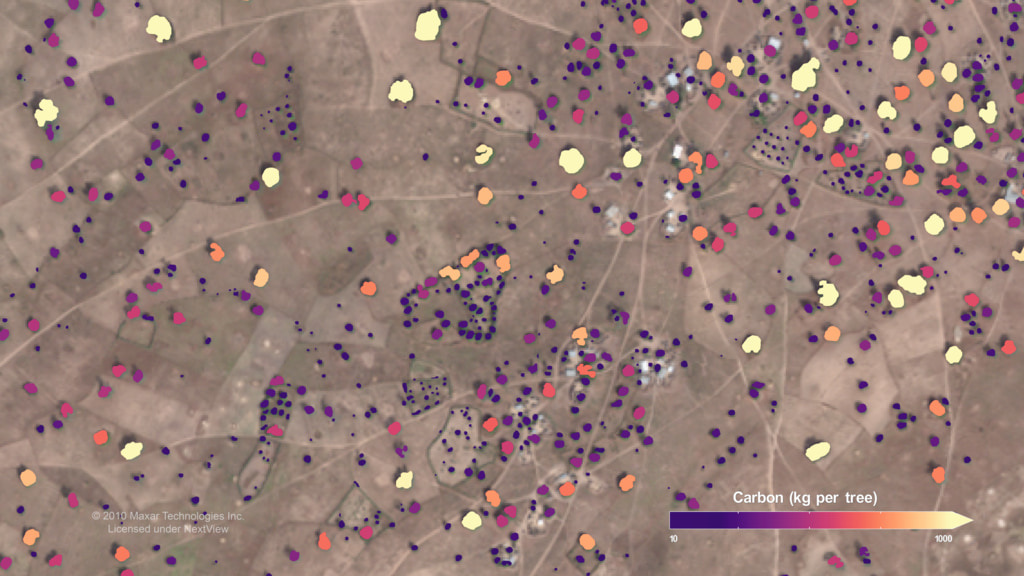 Preview Image for Continental scale carbon stocks of individual trees in African drylands