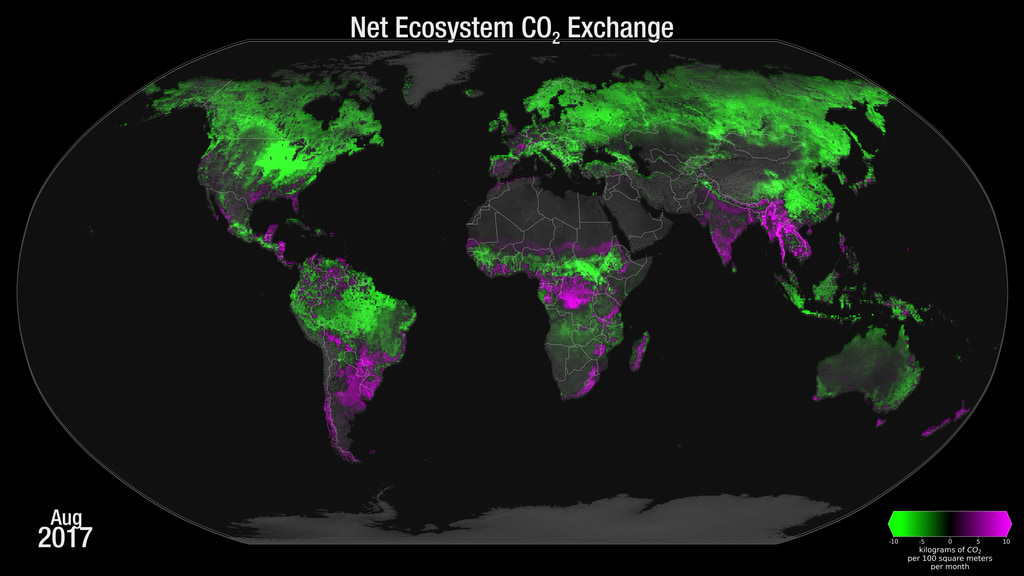 The NASA Carbon Monotoring System's estimate of  the Net Ecosystem Exchange of Carbon Dioxide from 2000  to 2018.