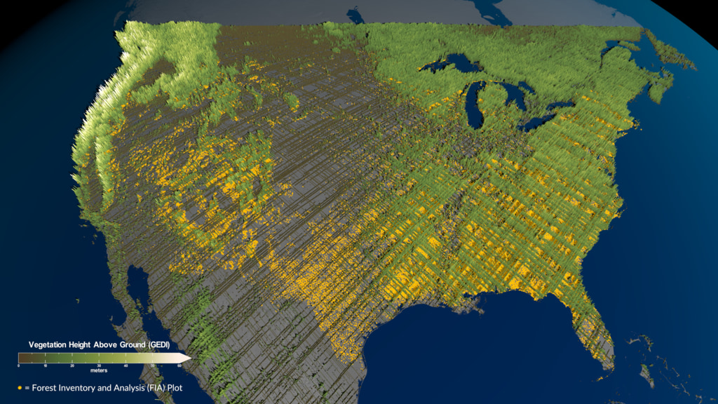 This visualization begins with a view of USFS Forest Inventory and Analysis (FIA) plot locations (orange dots) across the continental US.  GEDI vegetation height data then draws on dynamically, showing how data from both the USFS and NASA can be used together to increase spatial coverage.