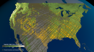 NASA SVS | USFS/GEDI Old Growth Forest Visualizations