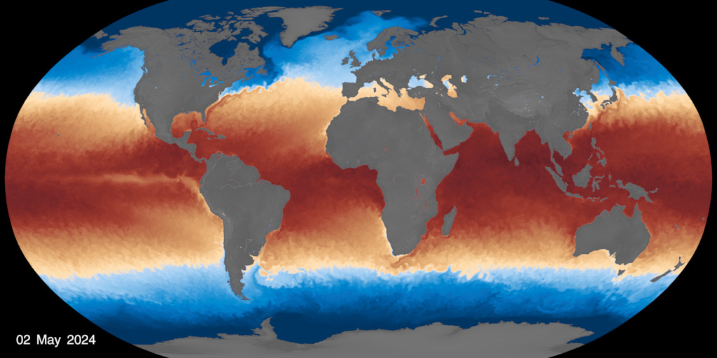 A view of the most recent sea surface temperature (SST) data available (still image). This version is a robinson projection.