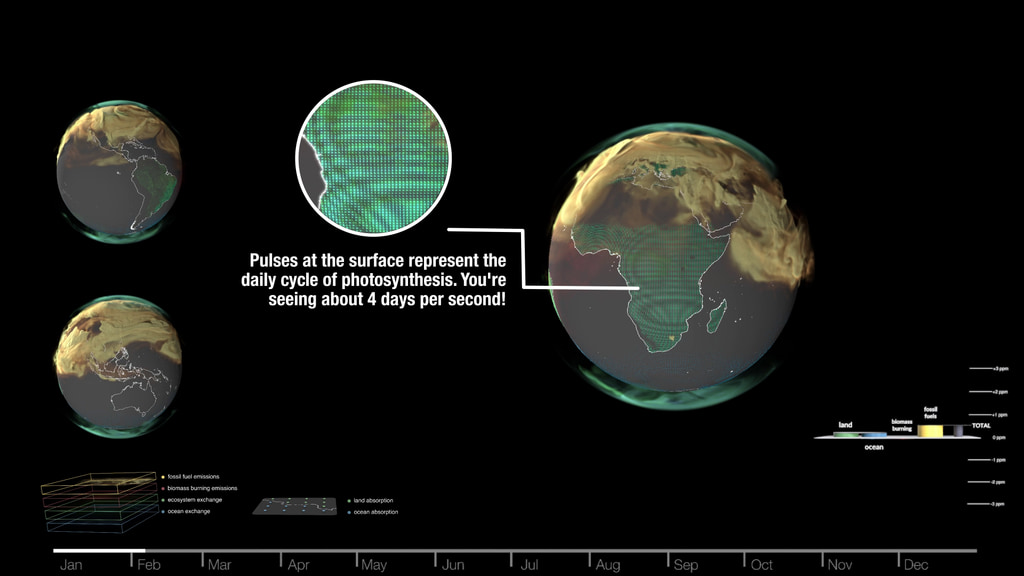 This visualization shows the CO2 being added to Earth's atmosphere over the course of the year 2021, split into four major contributors: fossil fuels in orange, burning biomass in red, land ecosystems in green, and the ocean in blue. The dots on the surface also show how atmospheric carbon dioxide is also being absorbed by land ecosystems in green and the ocean in blue. Though the land and oceans are each carbon sinks in a global sense, individual locations can be sources at different times.This annotated version highlights key CO2 sources and sinks and their seasonal patterns.