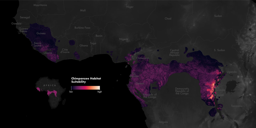 Chimpanzee habitat suitability within the current habitat range at 30m resolution. 