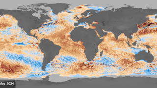 Link to Recent Story entitled: Sea Surface Temperature (SST) Anomaly - Near Real Time