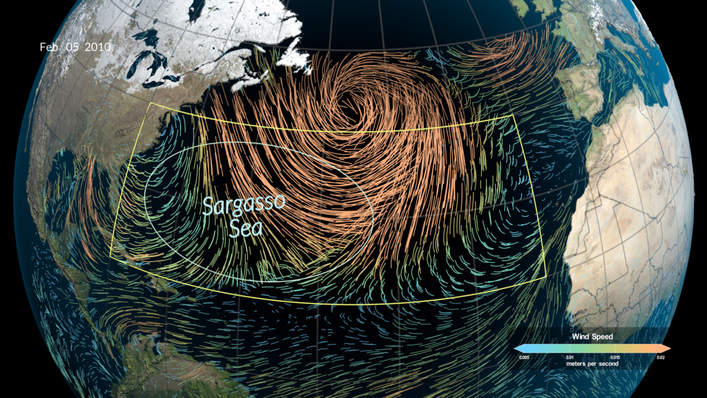 This visualization of MERRA-2 surface winds over the Atlantic Ocean and Sargasso Sea shows some unusually strong westerly winds during the winter of 2009-2010.  Here the slower winds are shown in blue while the faster winds are shown in shades of red.  The blue oval shows the nominal area of the Sargasso Sea while the yellow rectangle marks the 20–40°N, 80–10°W geographic box. 