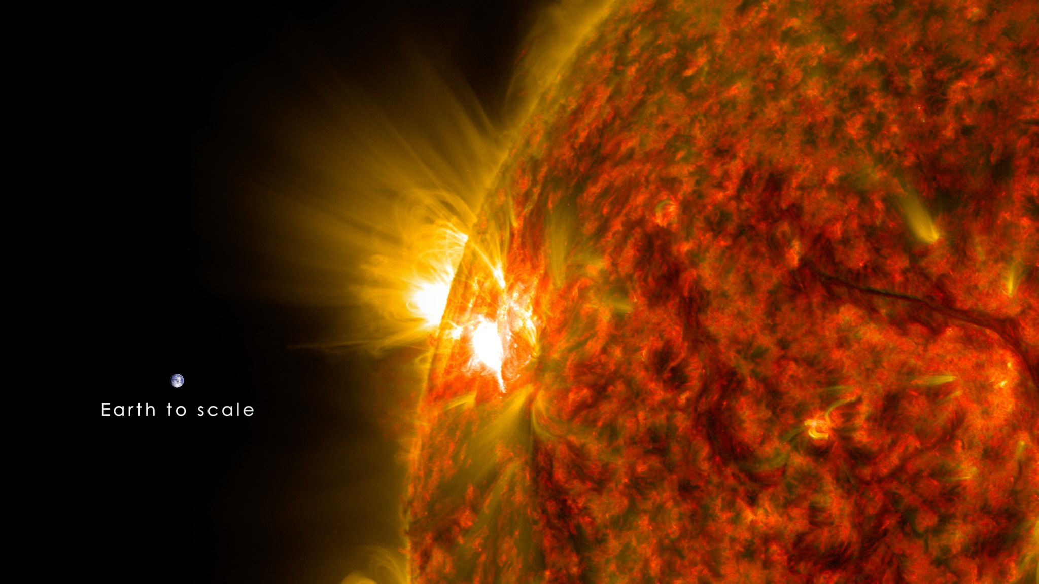 An active region on the sun erupted with a mid-level flare on Nov. 5, 2014, as seen in the bright light of this image captured by NASA's Solar Dynamics Observatory. This image shows extreme ultraviolet light that highlights the hot solar material in the sun's atmosphere. Shown here with the Earth to scale.Credit: NASA/GSFC/SDO