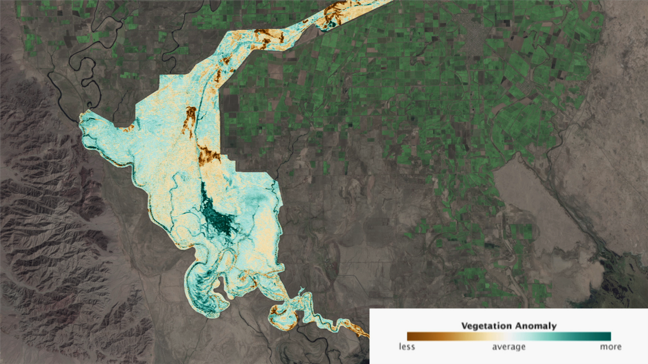 Preview Image for Vegetation Response to Lower Colorado River pulse flow in 2014