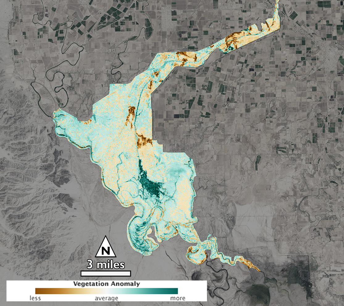 Increase in vegetation in Colorado River Delta as a result of the Minute 319 pulse flow. This image shows the Normalized Difference Vegetation Index (NDVI) using Landsat 8 data from August 15, 2014, minus August 12, 2013.