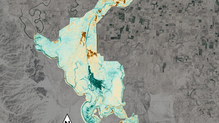 Link to Recent Story entitled: Vegetation Response to Lower Colorado River pulse flow in 2014