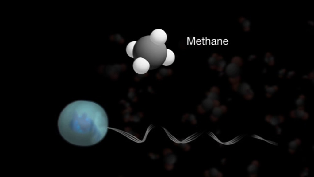 Preview Image for Radiolytic Production of Methane by Microbial Life