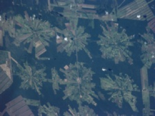 NASA SVS | Science for a Hungry World: Land Cover Land Use Change