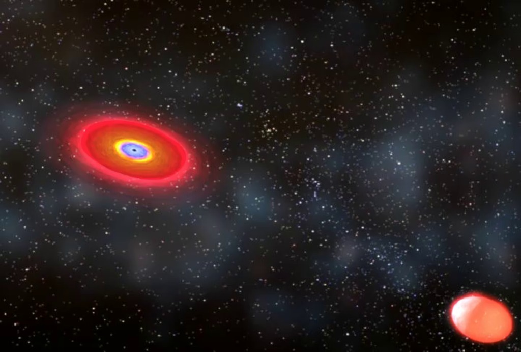 This animation shows the destruction of a red giant by a black hole.  As the gas that makes up the star accelerates and crosses the event horizon, vast plumes of relativistic particles and radiation are emitted from the black hole's poles.