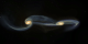 This visualization shows two colliding galaxies that merge into a single elliptical galaxy over a period spanning two billion years.  Credits:  NCSA, NASA, B. Robertson, L. Hernquist