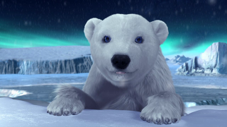 NPPy: Big Planet, Little Bear  As we know polar bears are most affected by the warming of our planet
and the melting of ice around the poles. That's why it is very important
that satellites like NPP constantly monitor the Earth's health from
space to help scientists build models and predict how climate is
changing over time. In this series of animated videos NPPy the bear
walks along with his mom and tells us what he's learned about the NPP
mission and it's importance for everyone who lives on planet Earth.
Follow NPPy in this and other episodes to come and find out more about
his adventures and the NPP mission!   For complete transcript, click  here .