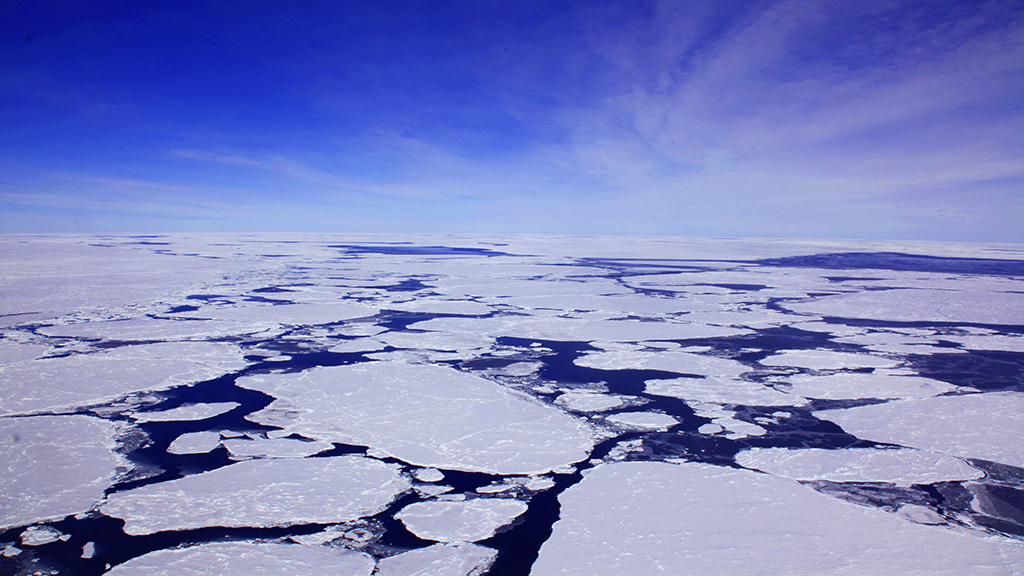 Explore how sea ice forms in the Antarctic.