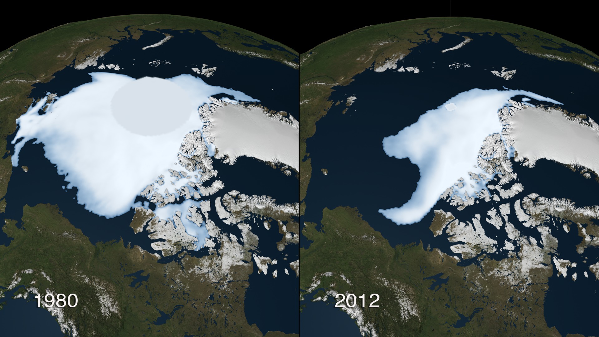The area covered by older and thicker sea ice in the Arctic diminished by almost 50 percent between 1980 and 2012.