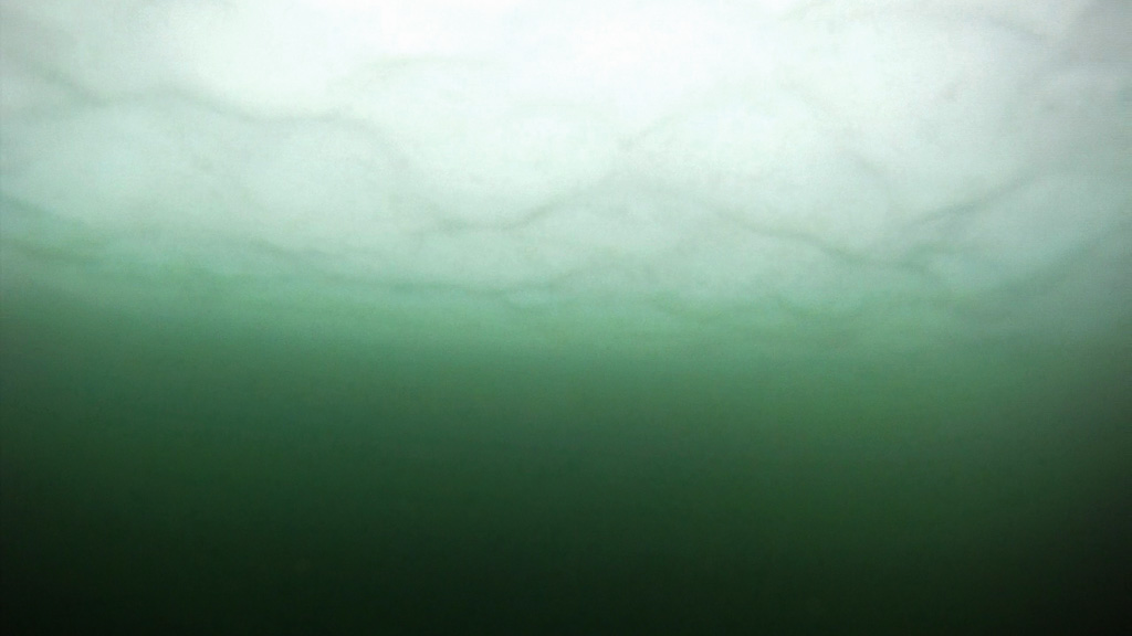 Scientists discover the largest under-ice phytoplankton bloom ever seen.