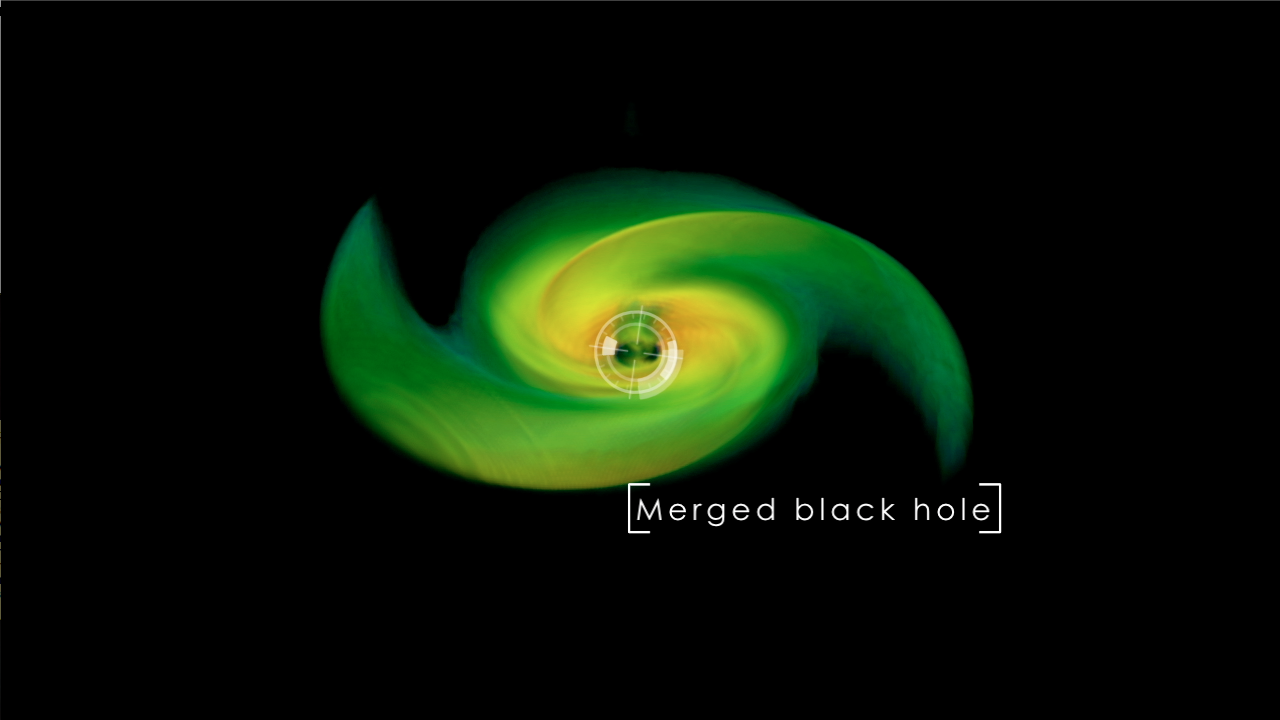 Supercomputer models of merging black holes reveal properties that are crucial to understanding future detections of gravitational waves. This movie follows two orbiting black holes and their accretion disk during their final three orbits and ultimate merger. Redder colors correspond to higher gas densities. This version has music and on-screen labels.Credit: NASA's Goddard Space Flight Center/P. Cowperthwaite, Univ. of MarylandFor complete transcript, click here.
