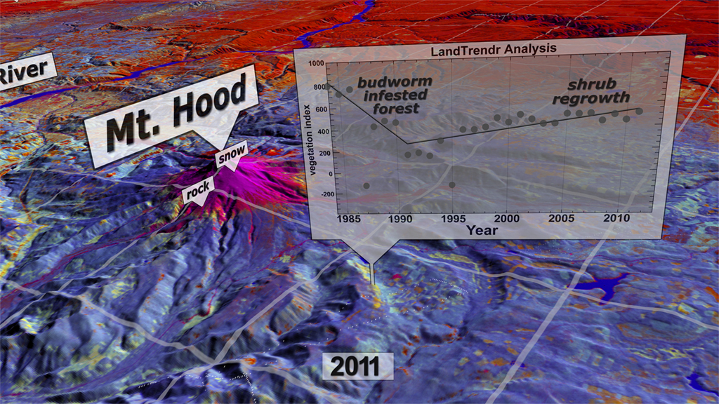 An image showing the analysis of the impacts of insects on Mount Hood National Forest in Oregon, USA