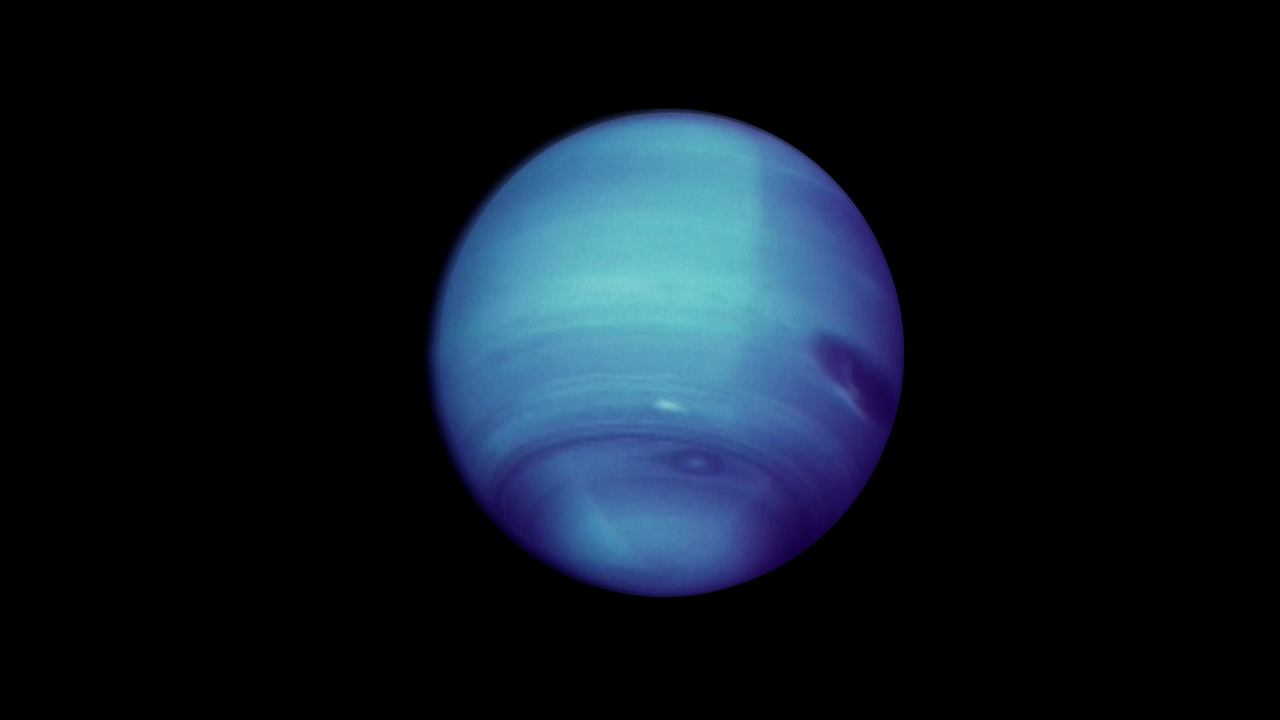 Winds-of-Neptune's PSN Profile •