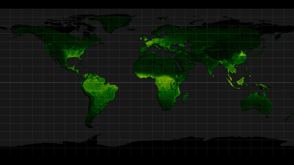 The northward march of fluorescence during spring in the northern hemisphere reflects thriving vegetation.