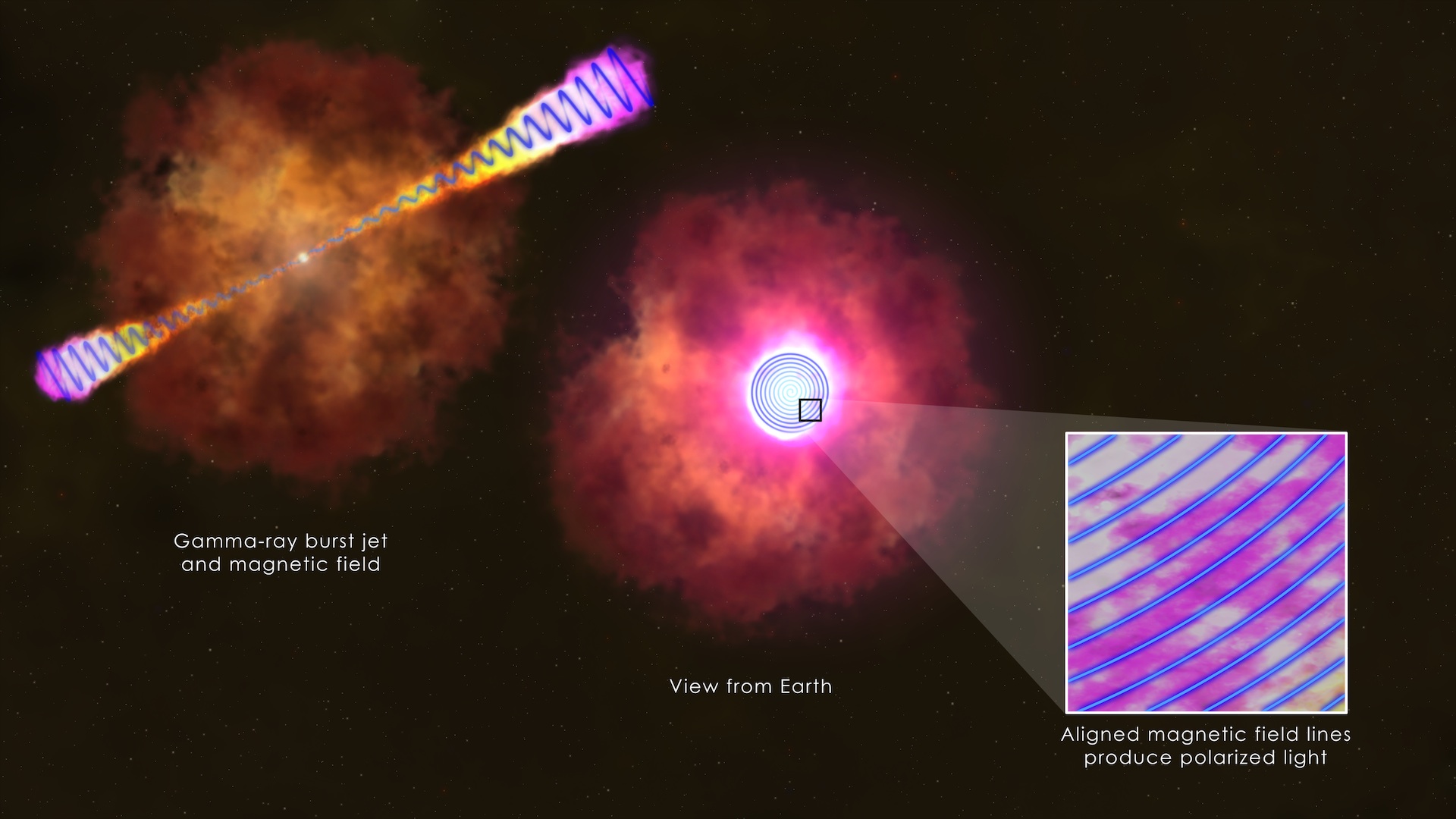 Measurements of polarized light in the afterglow of GRB 120308A by the Liverpool Telescope and its RINGO2 instrument indicate the presence of a large-scale stable magnetic field linked with a young black hole, as shown in this illustration.Credit: NASA's Goddard Space Flight Center/S. Wiessinger