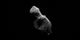 Earth has a close encounter with a new asteroid.