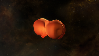 Link to Recent Story entitled: Eta Carinae's Homunculus Nebula Now in 3D