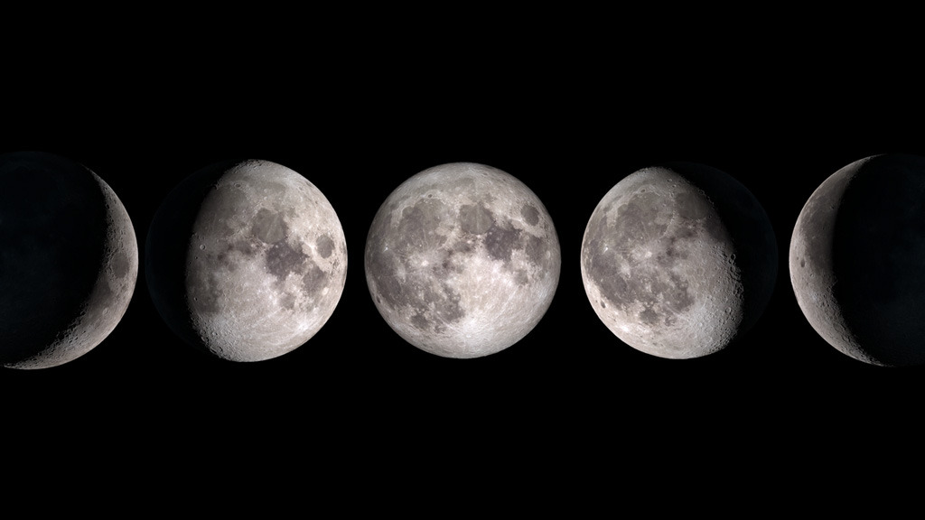 See how the moon will look on each day of the year.