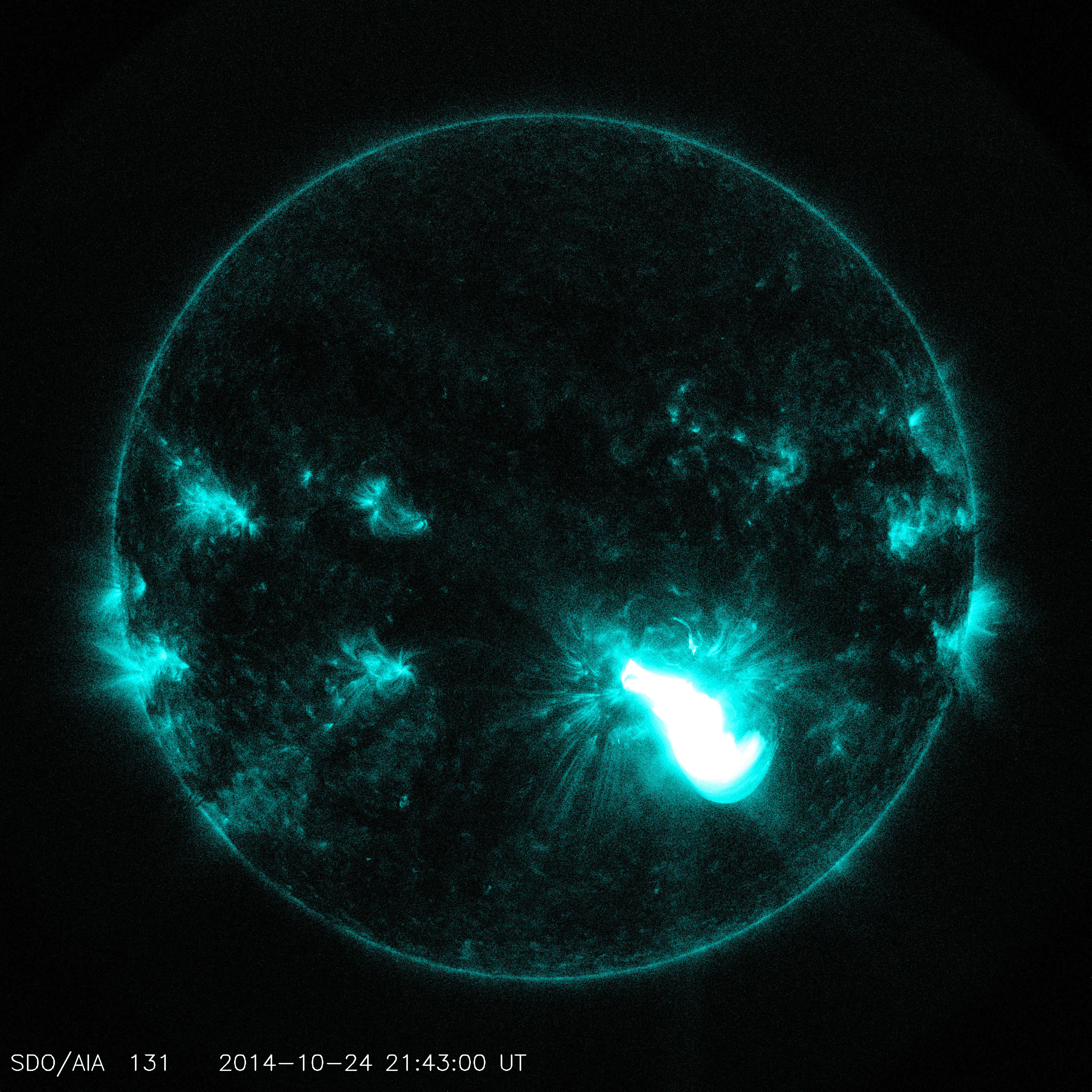 SDO AIA image of the X3.1 flare in 131 angstrom light from 21:43 UT on October 24, 2014.Credit:NASA/SDO