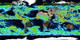 The data can be used to show accumulated precipitation over a period of time for the entire globe or a specific region.