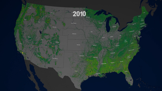 Link to Recent Story entitled: 25 Years of Forest Dynamics