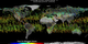 LEAD: Year number one of data from NASA's Orbiting Carbon Observatory (or OCO-2) satellite is providing NASA’s first detailed, global measurements of carbon dioxide in the atmosphere.    1. Every 16 days, during which it makes 232 orbits and 16 million soundings (measurements), the OCO-2 satellite yields a global view of CO2 with unprecedented detail.    2. Across the northern hemisphere, the annual CO2 concentration changes of 2 percent can be seen as the concentrations increase through blue, up to green, to yellow and to the high levels in red, and then back down.    3. Atmospheric carbon dioxide levels recently surpassed a concentration of 400 parts per million, higher than any time in at least the past 400,000 years.   TAG: As carbon dioxide is the largest human-produced driver of our change climate, having regular observations from space is a major step in understanding and predicting climate change.
