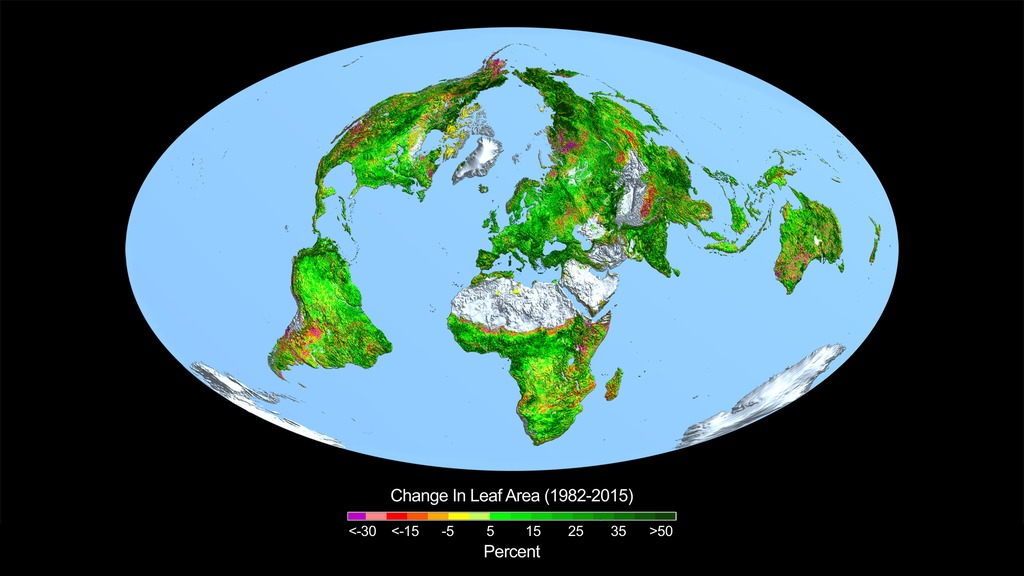 Preview Image for Rising CO2 Levels Greening Earth