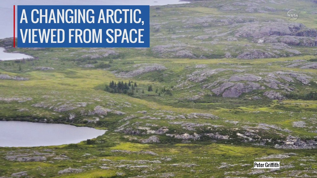 Preview Image for Details of Arctic Greening in North America