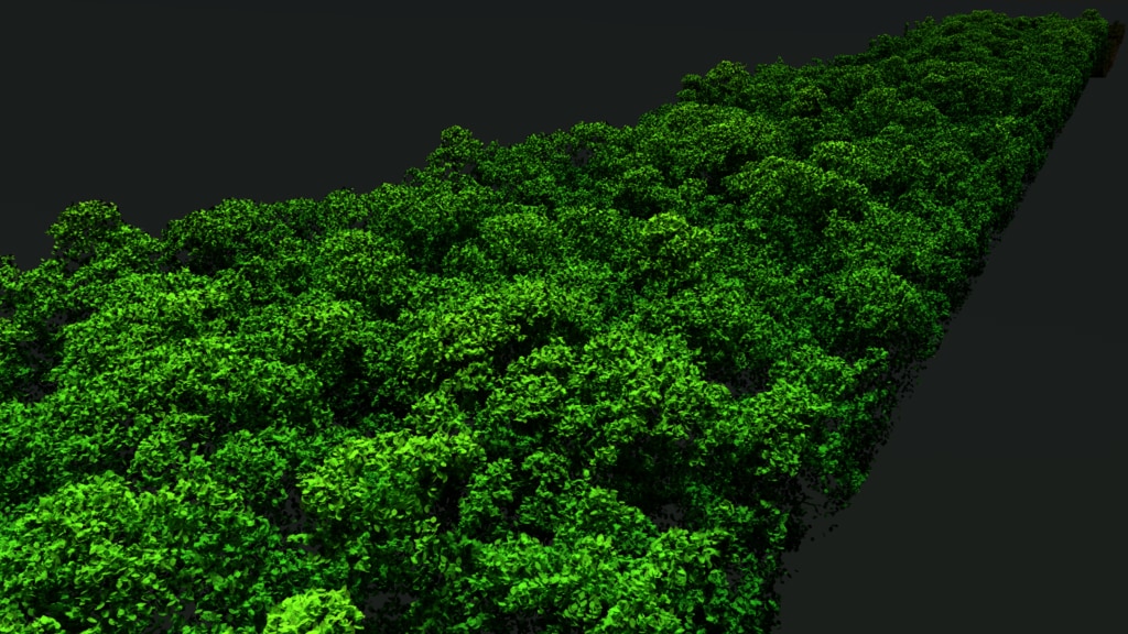 Preview Image for A 3D Forest Map