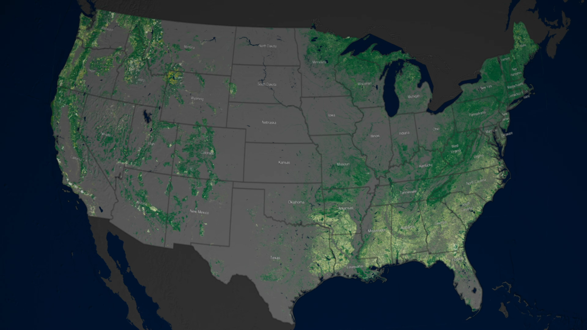 Scientists use satellites to map 25 years of forest change.