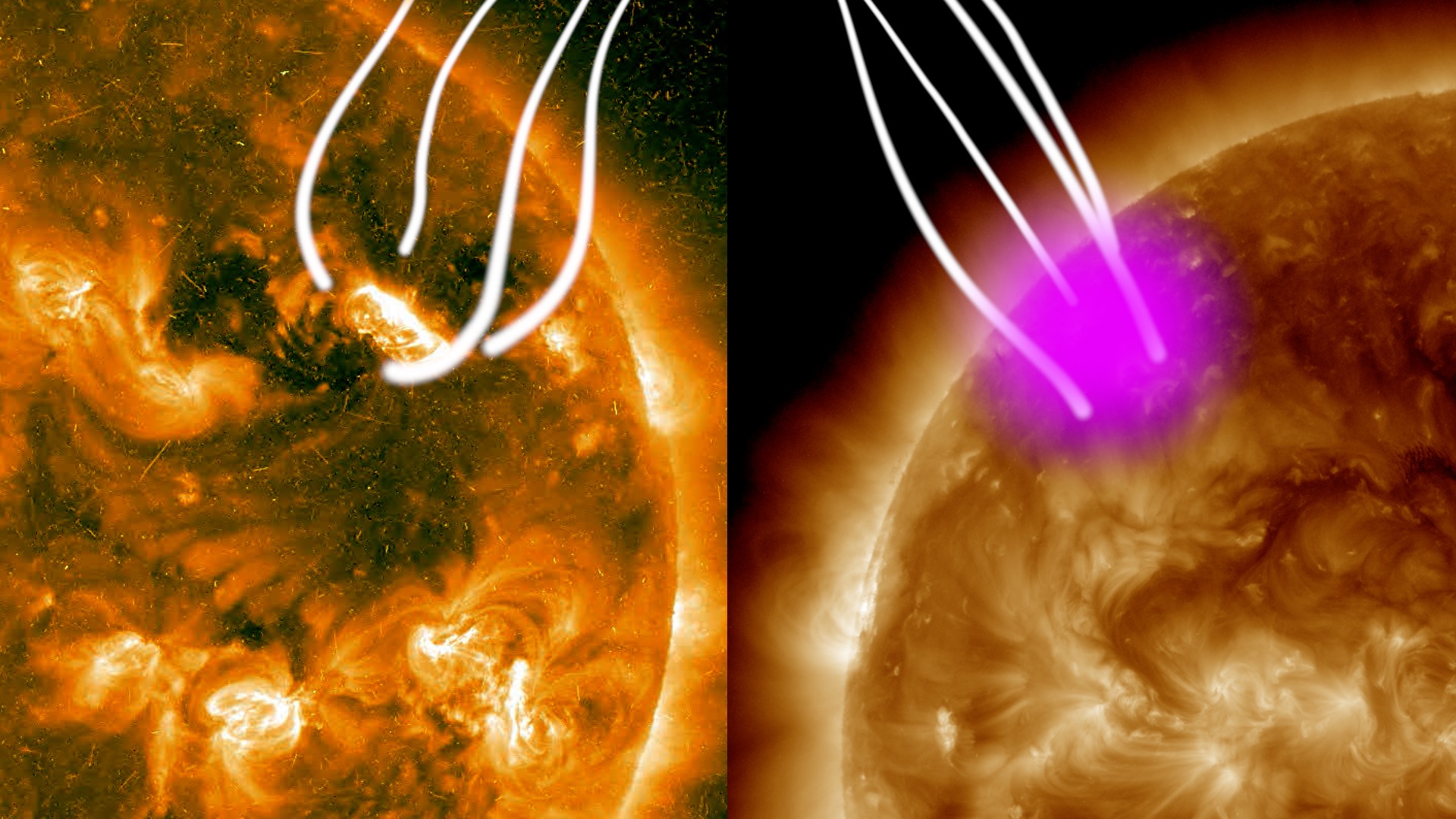 On three occasions, NASA's Fermi Gamma-ray Space Telescope has detected gamma rays from solar storms on the far side of the sun, emission the Earth-orbiting satellite shouldn't be able to detect. Particles accelerated by these eruptions somehow reach around to produce a gamma-ray glow on the side of the sun facing Earth and Fermi. Watch to learn more. Credit: NASA's Goddard Space Flight CenterWatch this video on the NASA Goddard YouTube channel.Complete transcript available.This illustration shows large magnetic structures extending high above the sun from the active region hosting the Sept. 1, 2014, solar blast. Left: Scientists think particles accelerated at the leading edge of the event's coronal mass ejection followed magnetic lines high above the sun. Right: Some of the particles followed similar magnetic structures rooted in the Earth-facing side of the sun. They rained down on the sun and interacted with the solar surface, producing gamma rays (magenta). The solar images shown here come from (left) STEREO B and (right) NASA's Solar Dynamics Observatory.  Credit: NASA/STEREO and NASA/SDO