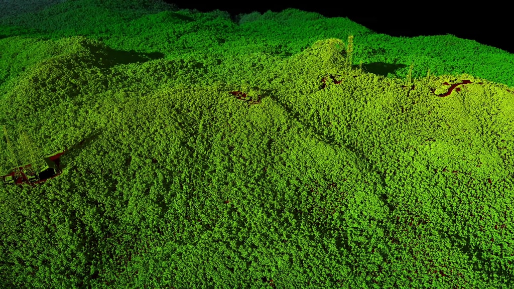 Preview Image for 3-D Views of Puerto Rico's Forests After Hurricane Maria