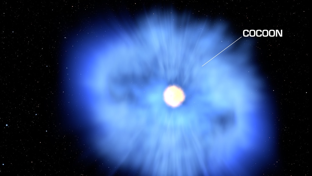 Watch what scientists think happens when a black hole tears apart a hot, dense white dwarf star. A team working with observations from NASA’s Neil Gehrels Swift Observatory suggest this process explains a mysterious outburst known as AT2018cow. Credit: NASA's Goddard Space Flight CenterMusic: "Curious Events" from Killer TracksWatch this video on the JPL YouTube channel.Complete transcript available.