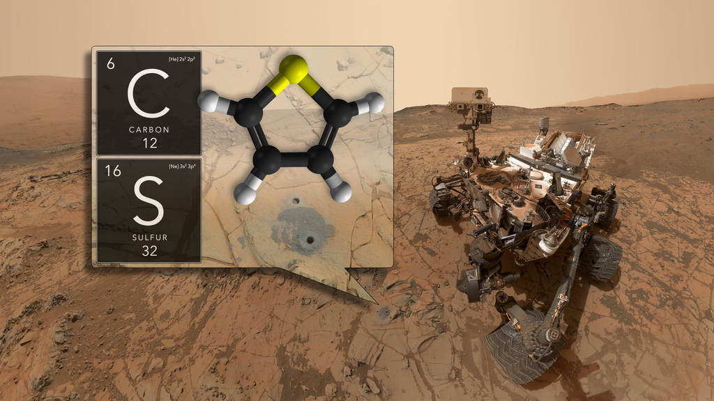 MOLECULECuriosity has discovered ancient organic molecules in Gale Crater using its SAM instrument.Credit: NASA's Goddard Space Flight Center