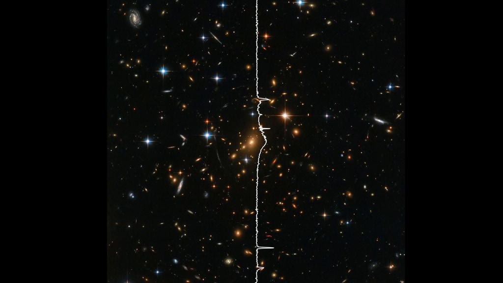 Space becomes “sonified” in this visualization of a cluster of galaxies imaged by Hubble. Time flows left to right, and the frequency of sound changes from bottom to top, ranging from 30 to 1,000 hertz. Objects near the bottom of the image produce lower notes, while those near the top produce higher ones. Most of the visible specks are galaxies housing countless stars. A few individual stars shine brightly in the foreground. Stars and compact galaxies create short, clear tones, while sprawling spiral galaxies emit longer notes that change pitch. The higher density of galaxies near the center of the image — the heart of this galaxy cluster, known as RXC J0142.9+4438 — results in a swell of mid-range tones halfway through the video. Hubble's Advanced Camera for Surveys and Wide Field Camera 3 acquired this image on Aug. 13, 2018. Read more about it here.Credit: NASA/Hubble/SYSTEM Sounds (Matt Russo, Andrew Santaguida)Complete transcript available.