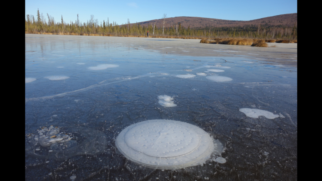 Methane gas bubbles up from the bottom of  lakes formed by thawed permafrost and is released into the atmosphere.