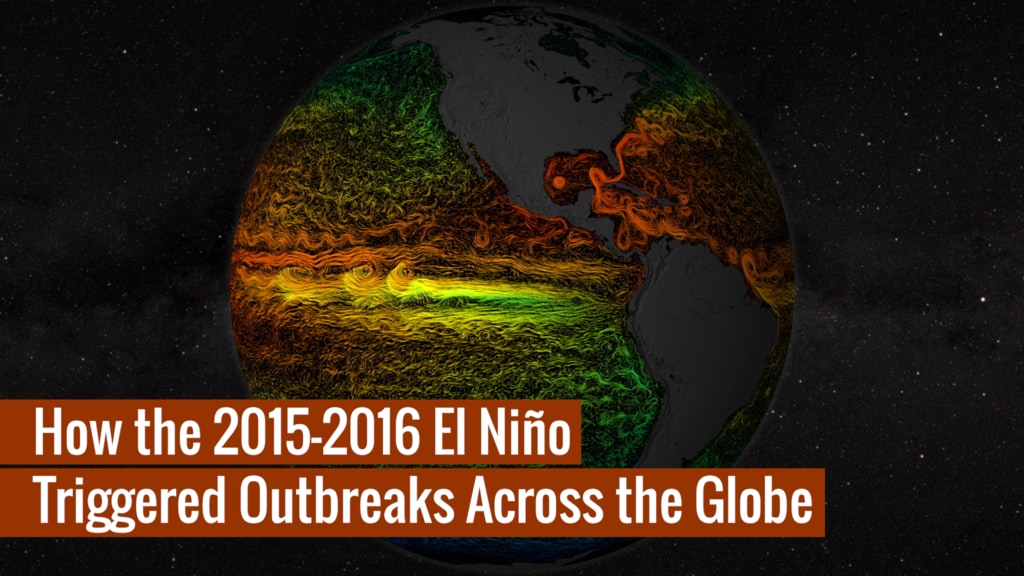 Preview Image for 2015-2016 El Niño Triggered Disease Outbreaks Across the Globe