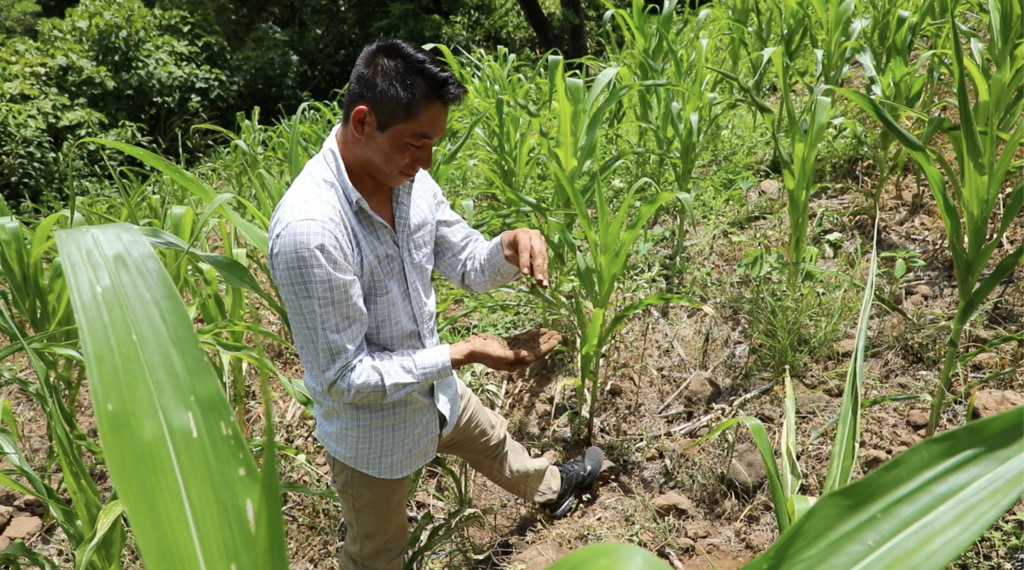 Preview Image for NASA Satellites Help Farmers in Central America's Dry Corridor