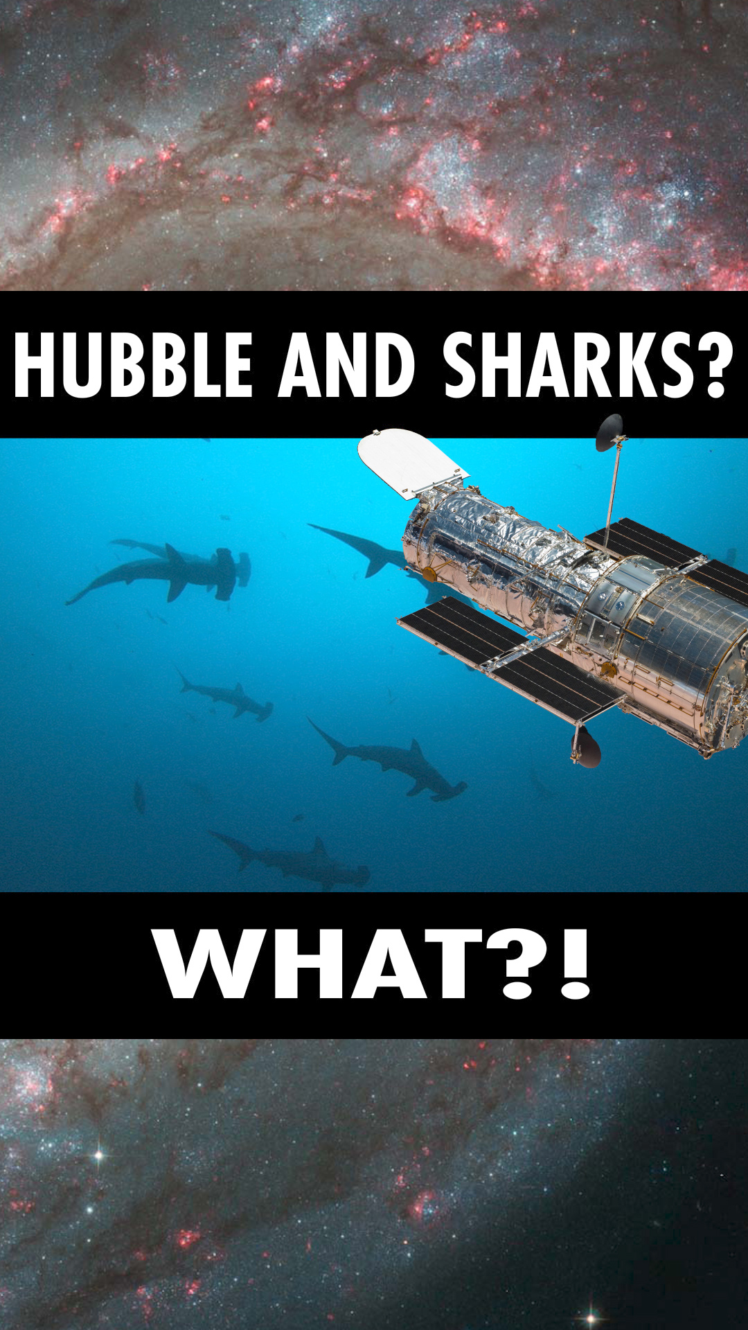 Preview Image for Hubble and Whale Sharks?