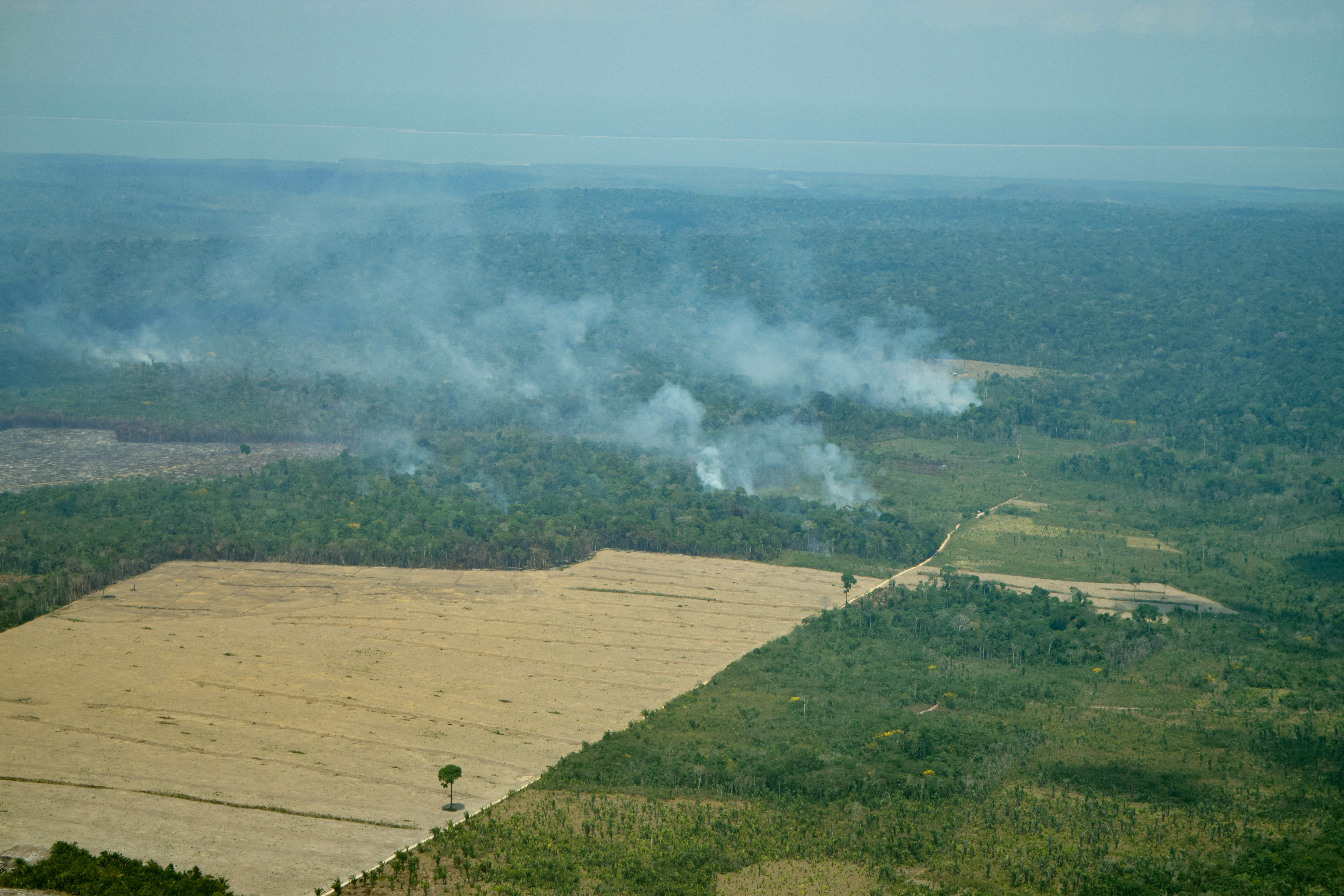 NASA SVS | Tracking Amazon Deforestation