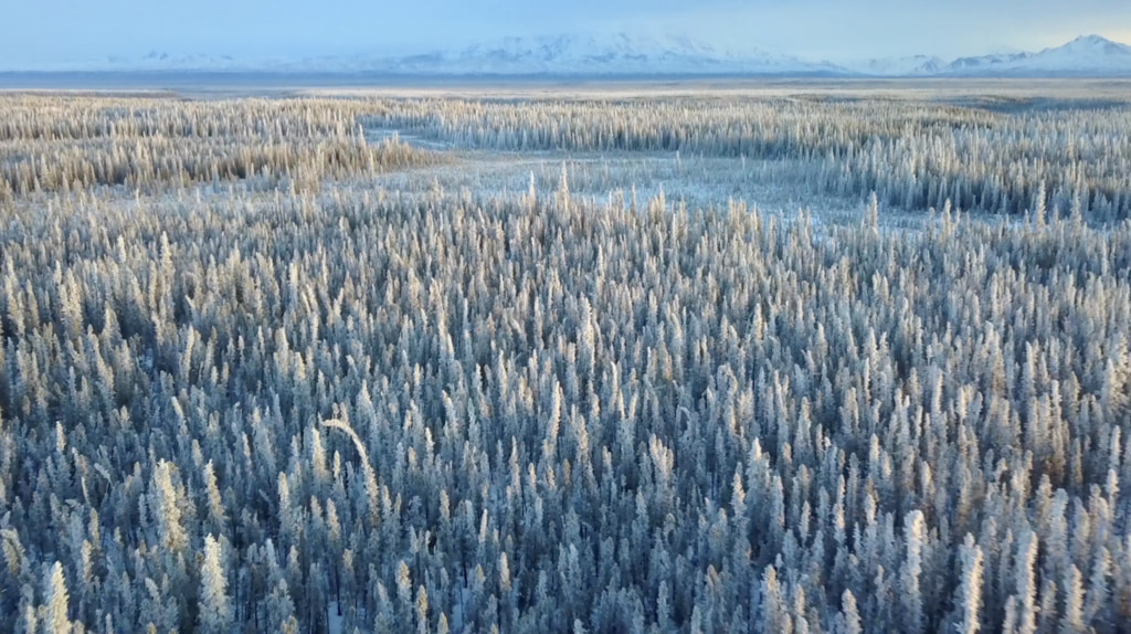 Preview Image for SnowEx Sets Sights on Alaska